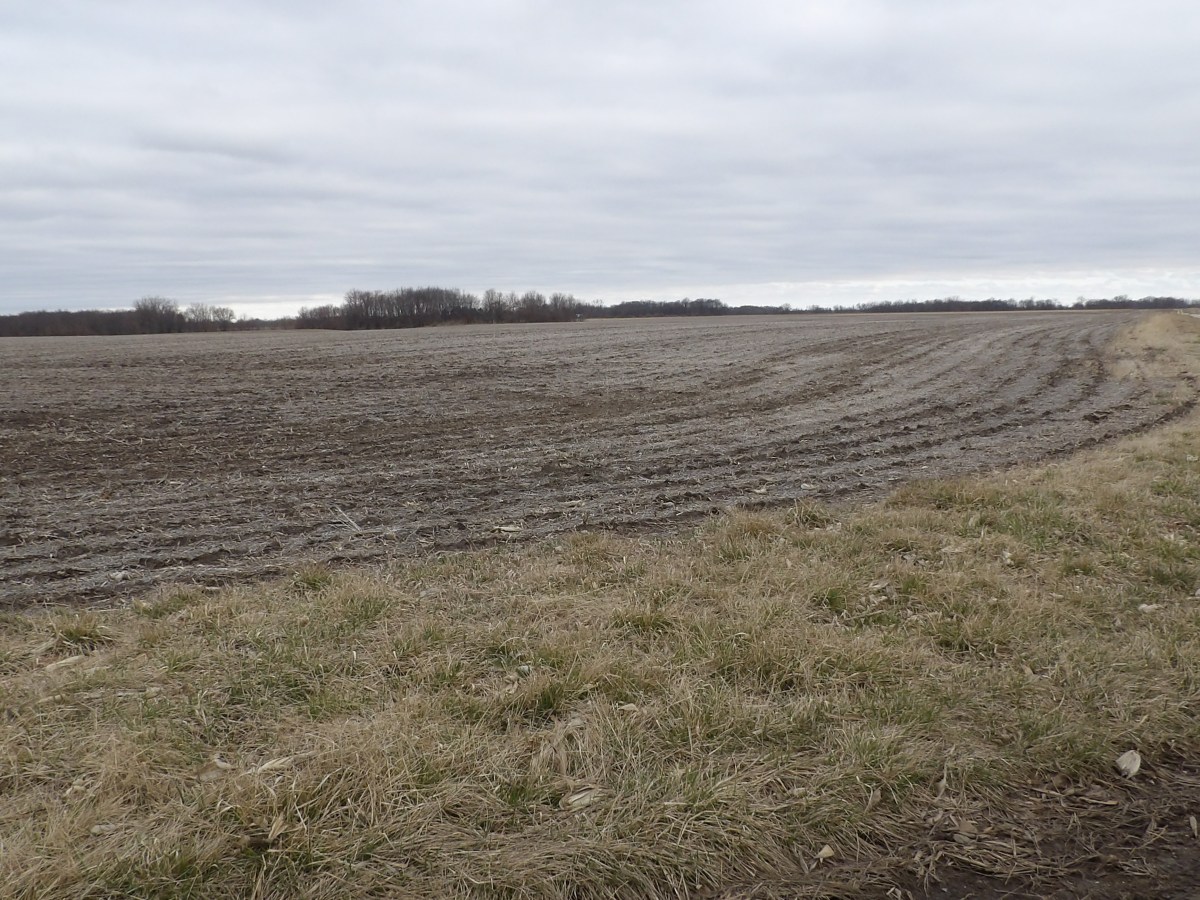 Webster Farmland Auction
