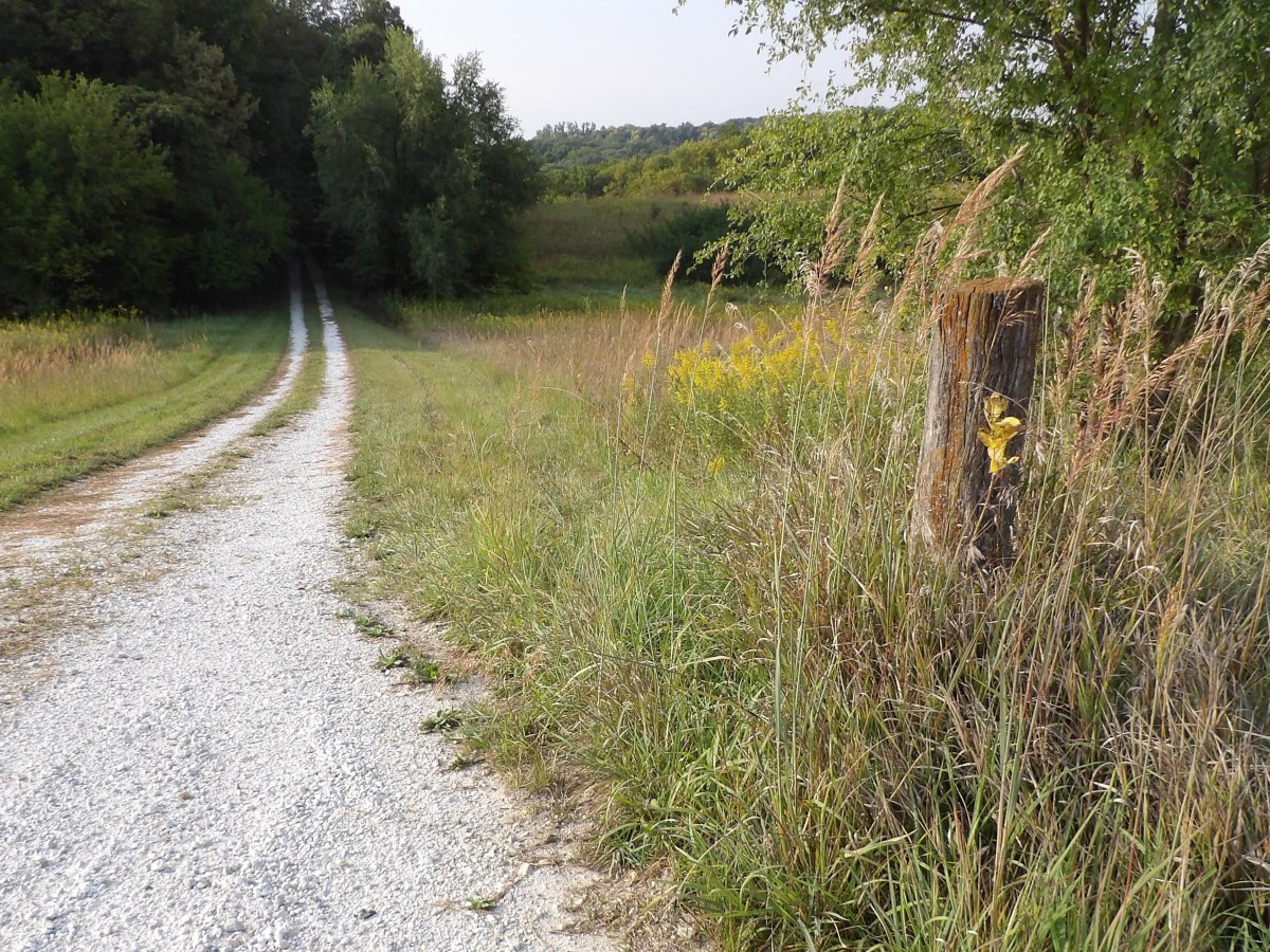 Dotzert Land Auction