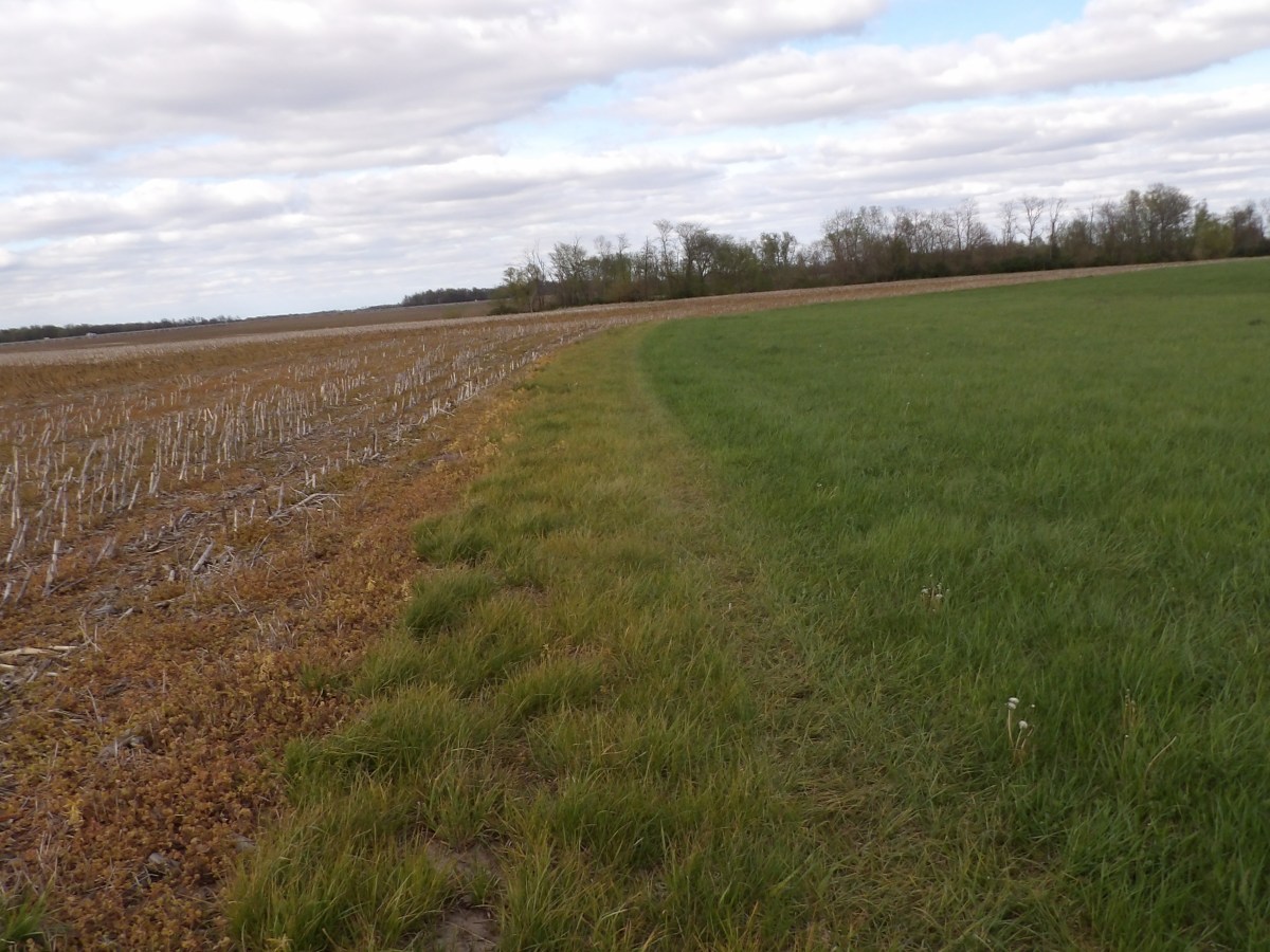 Donald Houston Land Trust Auction